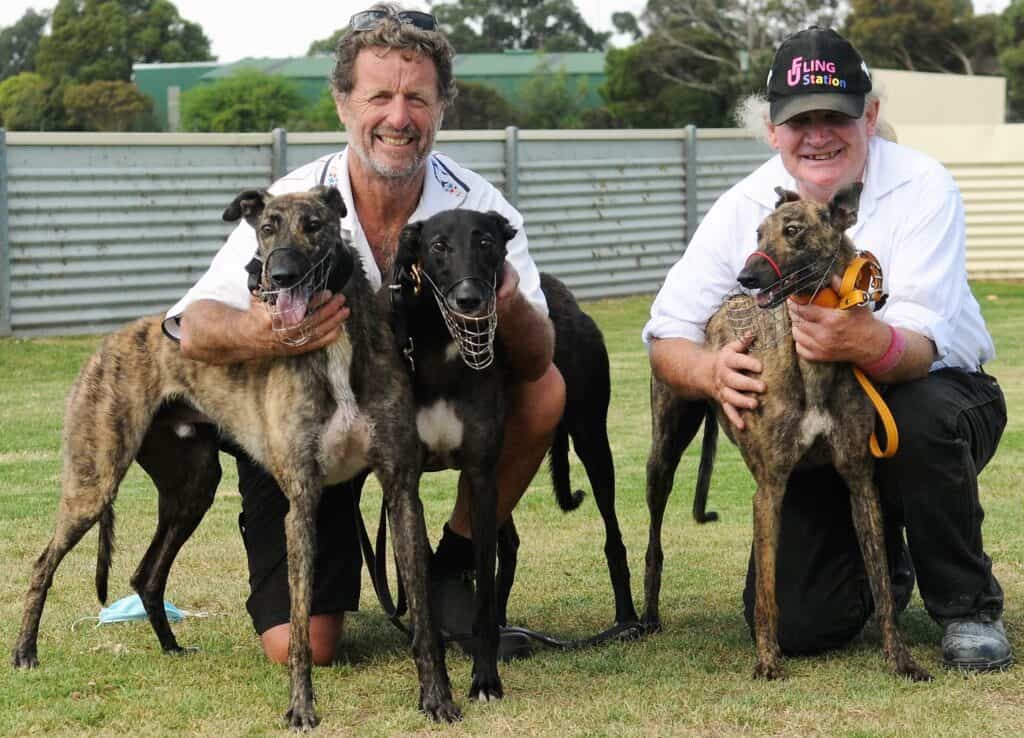 Veteran greyhound highlights trainer’s winning day Mount Gambier