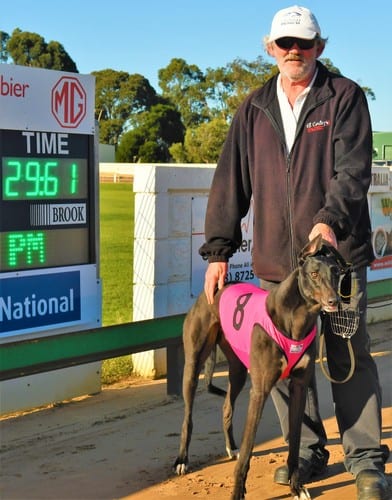 Meatball clocks fastest maiden time at Tara Raceway | Mount Gambier ...