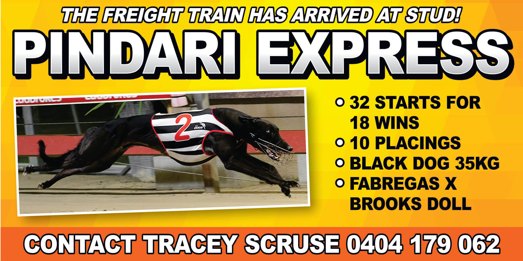 Pindari Express Logo MG greyhound Sponsor